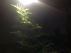 -荣生萝卜汤饭店
