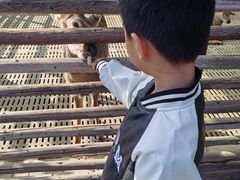 -保定市动物园