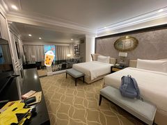 -澳门威尼斯人综合度假区