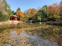 -钓鱼台国宾馆