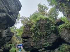 -梭布垭石林景区