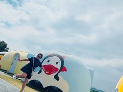 -漳州滨海火山岛自然生态风景区