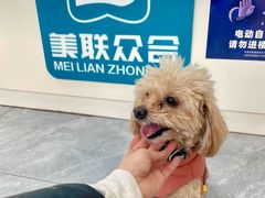 -美联众合爱康动物医院•复杂内科•肿瘤科•牙科•腔镜诊疗中心