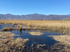 -野鸭湖国家湿地公园