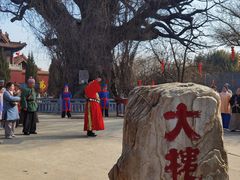 -大槐树寻根祭祖园