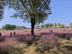 -汉长安城未央宫国家考古遗址公园