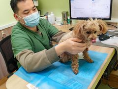 -瑞鹏宠物医院·宠保定点·心脏科·内科(御桥分院)