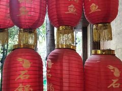 -抚仙湖生态石锅鱼野生菌(告庄店)