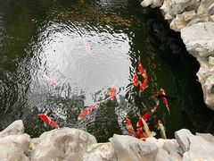 -鲤院·新中式美学·庭院餐厅(夫子庙店)