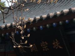 -万寿八仙宫