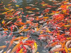 -番禺宾馆丽苑厅