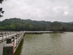 -西樵山风景名胜区-天湖公园