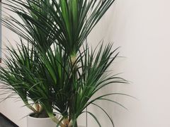 -中粮·祥云小镇