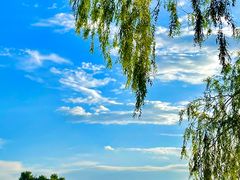 -长春市南湖公园