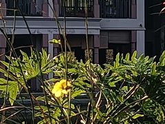 -广州都喜泰丽温泉度假酒店