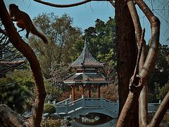 -顺峰山公园