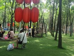 -草根堂农场