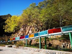 -十渡东湖港风景区