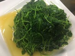 -协和菜馆(凤凰街店)