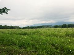 -瑞穗牧场