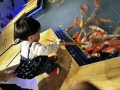 -昆明大悦城未来动物城(螺蛳湾中心店)