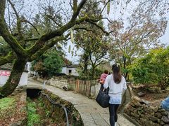 -塔川景区