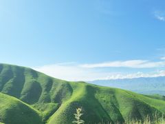 -新疆那拉提国家旅游度假区