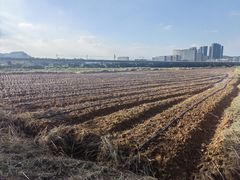 -光明小镇欢乐田园