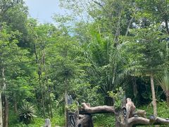 -海南热带野生动植物园