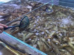 -聚盛源蒸汽海鲜火锅烤肉自助(巨川金海岸购物广场店)