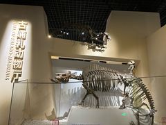 -国家自然博物馆