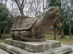 -灵谷景区