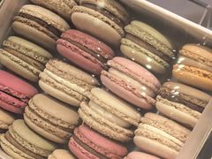 -Pierre Marcolini(德基广场店)
