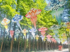 -日照海滨国家森林公园