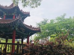 -大连植物园