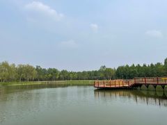 -东郊湿地公园