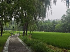 -北坞公园