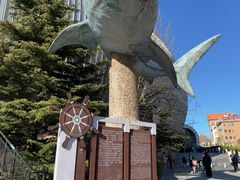 -烟台海昌鲸鲨海洋公园