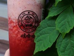 -娃哈哈·奶茶(武林店)