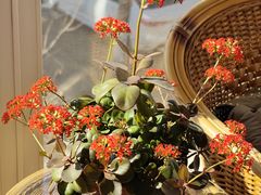 -沈阳铁西万象汇