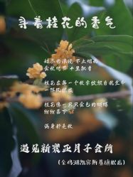 -新寰亚月子会所(金鸡湖凯宾店)