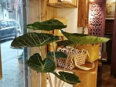 -西关84·History·Art·Cafe