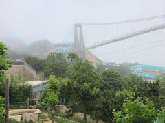 -西霞口神雕山野生动物世界