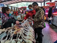 -树木岭集贸市场(劳动东路)