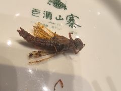-老滇山寨•云南特色菜•地方菜•民族风情歌舞表演(金碧店)