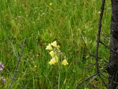 -迪庆藏族自治州博物馆