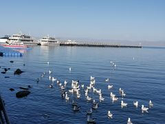 -青海湖二郎剑景区