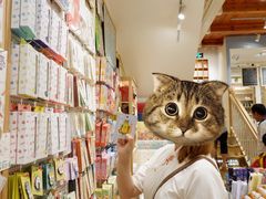 -猫的天空之城概念书店(苏州平江店)