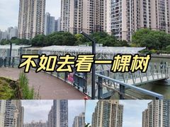 -苏州河梦清园环保主题公园