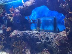 -多彩贵州城极地海洋世界